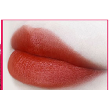 Wholesale no label Multi-coloured matte lipgloss DOM/OEM